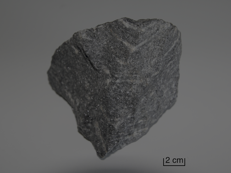 Image 2 pour The first rocks and the first traces of life : <p>These silica-rich magmatic rocks bear witness to the formation of continents. Their analysis shows that Earth produced four times more heat than it does today!</p><h6>©E.Douzery et collection H.Martin<br>
CC BY-SA 4.0 DEED</h6>