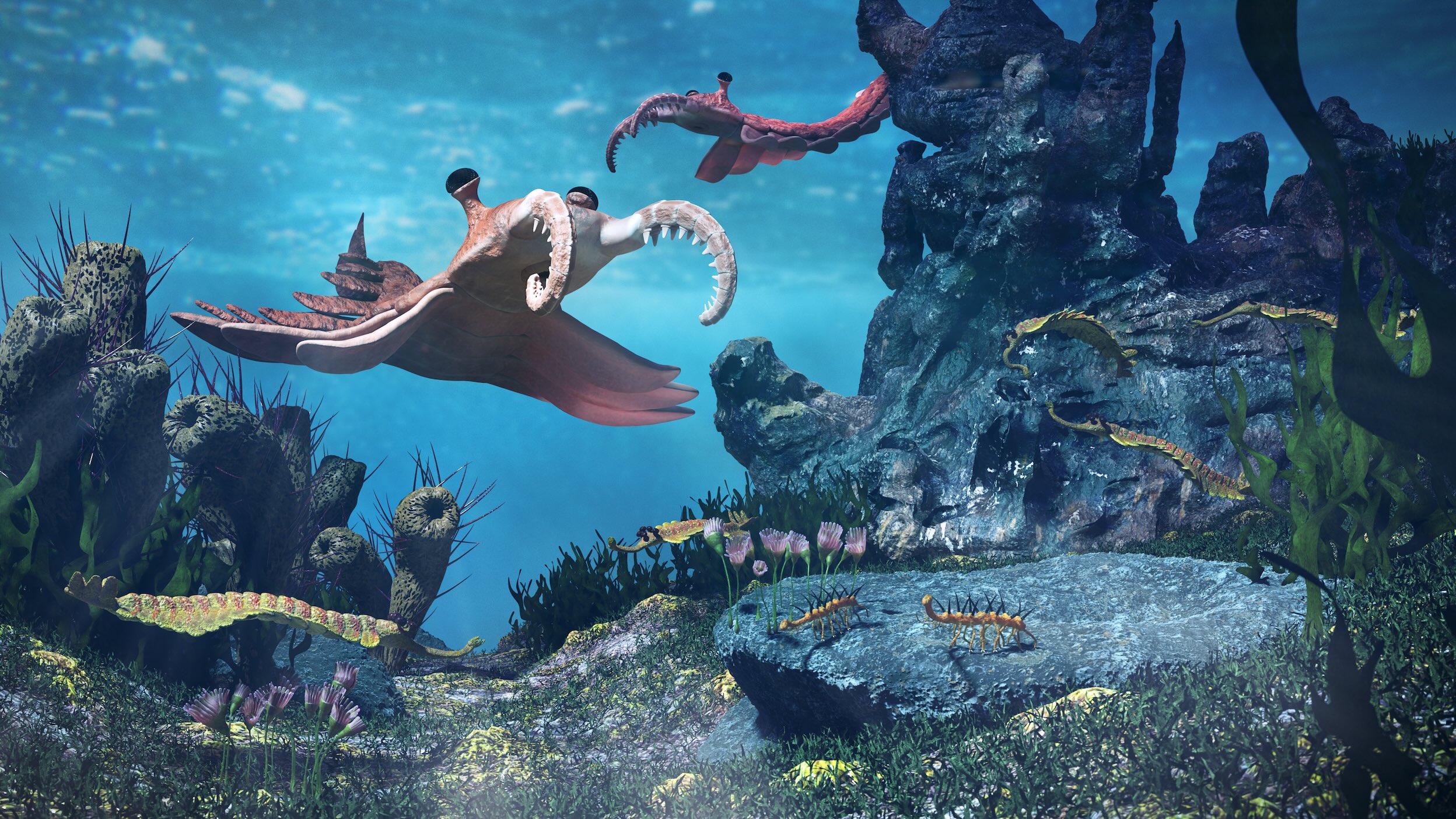 Image 1 pour The unusual Cambrian marine fauna : <h6><span>© Dottedyeti - stock.adobe.com</span></h6>