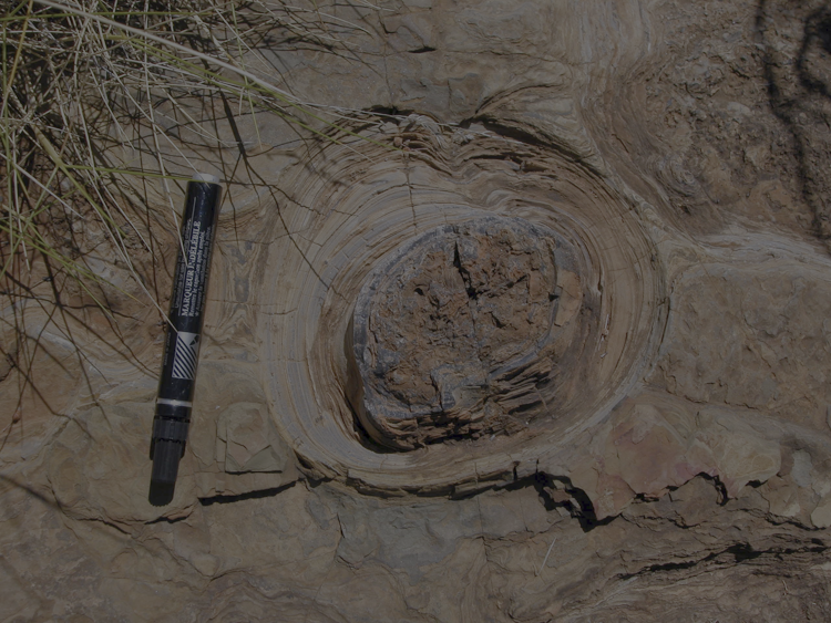 Image 3 pour The first rocks and the first traces of life : <p>These are laminated rocks formed by the activity of communities of micro-organisms. The Tumbiana stromatolites are among the oldest traces of life on Earth.</p><h6>©P. Lopez-Garcia</h6>
